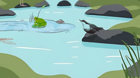 River event