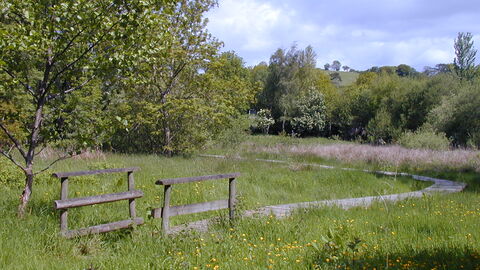 werndryd