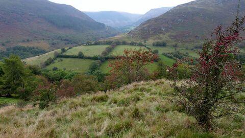 Gilfach autumn