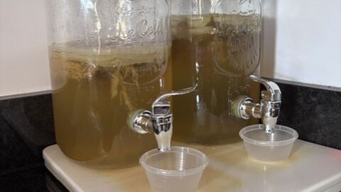 kombucha