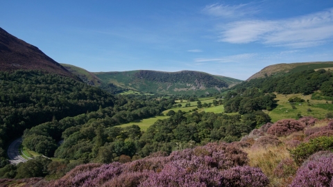 Gilfach Nature Reserve