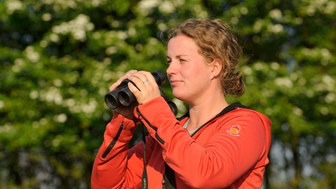 Birdwatching