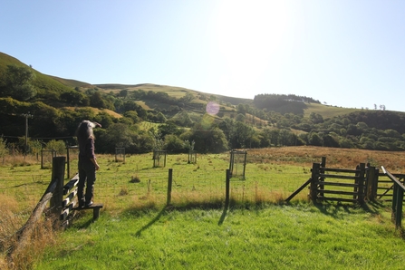 Tylcau Hill (Floss Brand) Nature Reserve