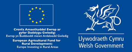 Welsh Goverment funding logo