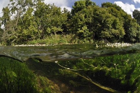 Water-level view across river