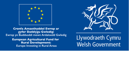 Welsh Government Funding Logo
