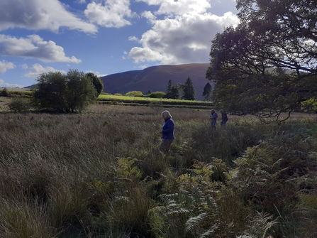 People walking on rhos pasture habitat