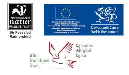 Developing SWIFTly Logo Compilation II