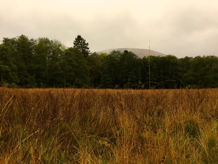 Rhos Pasture landscape 