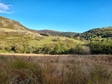 Rhos Pasture at Gilfach