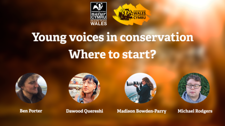 Young voices in conservation thumbnail 