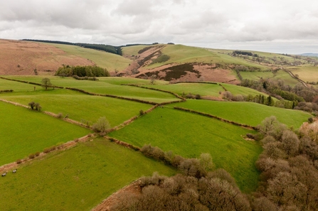 Drone image of Pentwyn Nature Reserve
