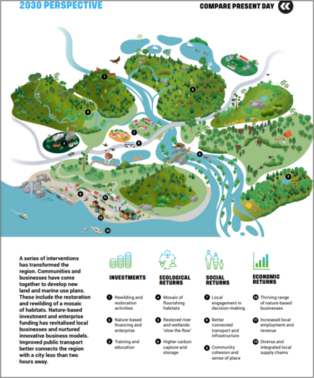 Rewilding infographic