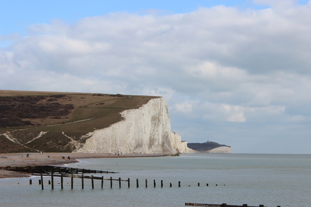 Seven sisters