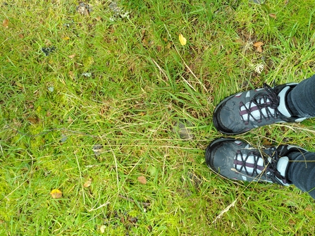 Walking boots