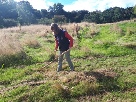 Nature's Recovery and Climate Change Trainee