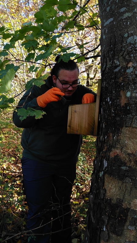 Nature's Recovery and Climate Change Trainee