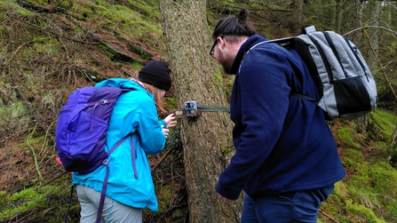 Nature's Recovery and Climate Change Trainee