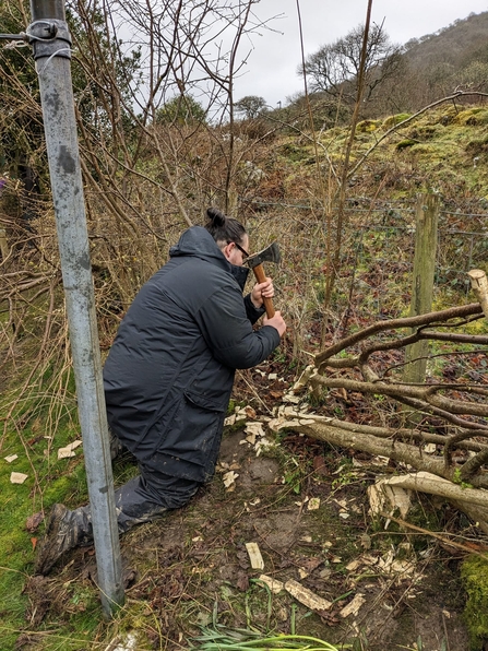 Nature's Recovery and Climate Change Trainee