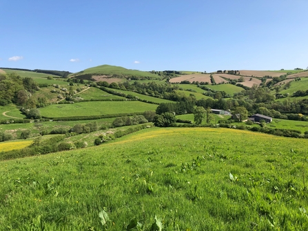 pentwyn farm