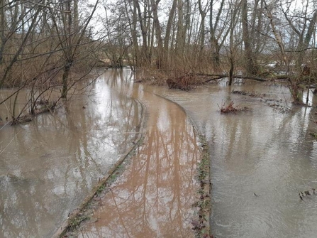 lugg floods
