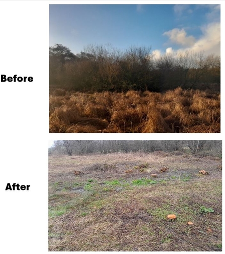 Llanbwchllyn Before and After