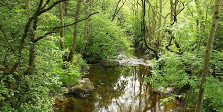 River Marteg