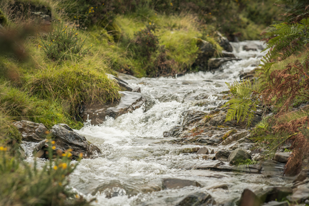 River Lugg
