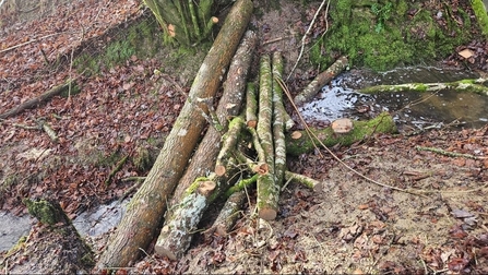 Leaky dam