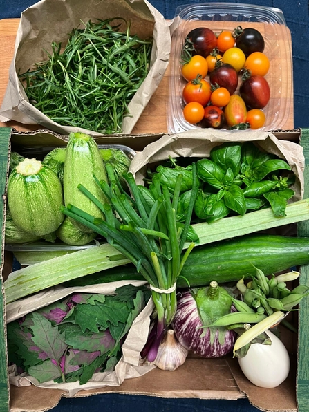 Vegetables