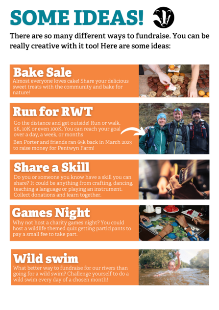 RWT fundraising ideas