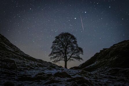 Night sky over Sycamore Gap with a silhouette of a lone tree framed between two dark ridges. Stars fill the sky, and a bright meteor streaks diagonally across the upper right, part of the Geminids meteor shower