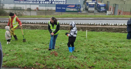 Three Cocks tree planting