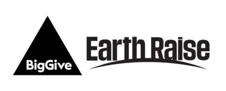 Earth Raise 