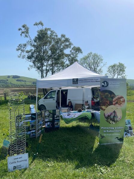 Llanbister show