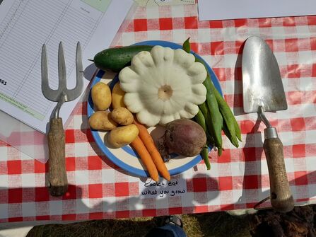 Veg