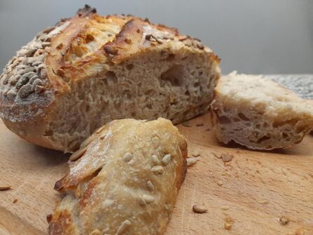 Sourdough