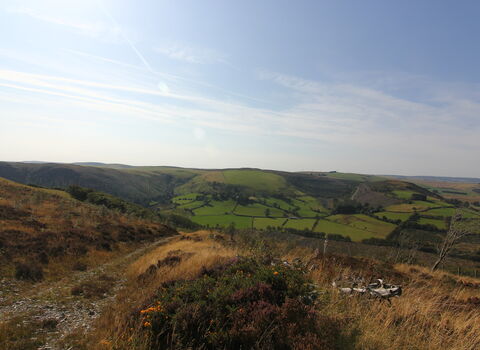 Cefn Cenarth View