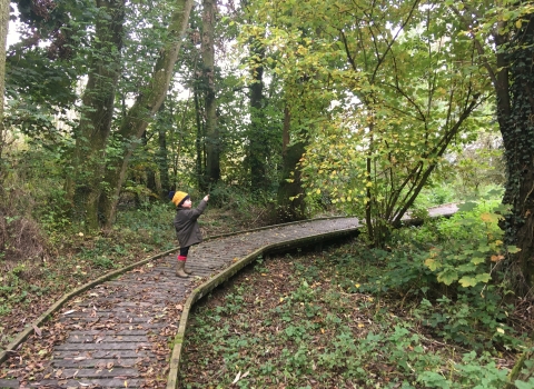 Withybeds Nature Reserve