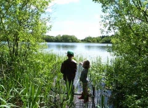 Llanbwchllyn Lake Nature Reserve