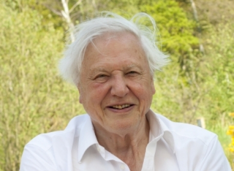 Sir David Attenborough