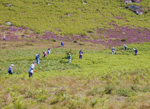 RWT Gilfach Volunteers