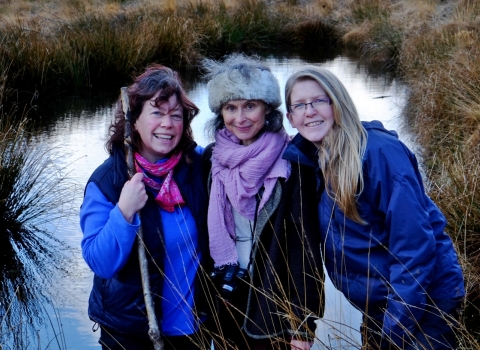 My Wild Life - Radnorshire