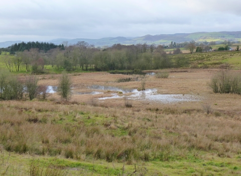 Pentrosfa Mire Nature Reserve