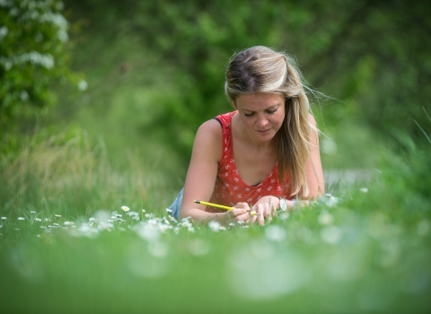 Writing in nature by Matthew Roberts