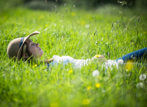 Nap in Nature by Matthew Roberts