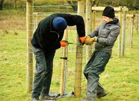 RWT tree planting Tylcau Hill