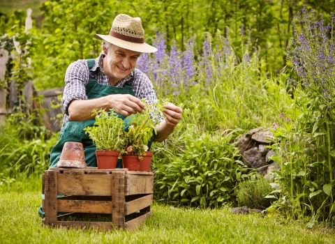 Gentleman planting by Shutterstock