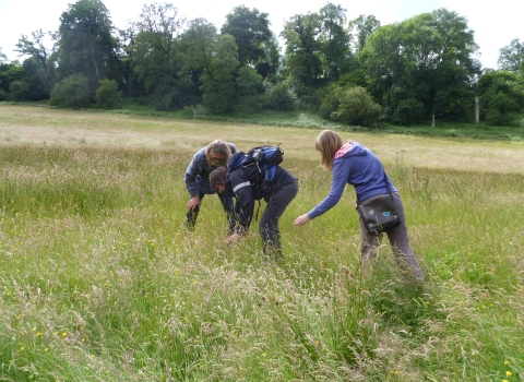 Discovering nature with RWT