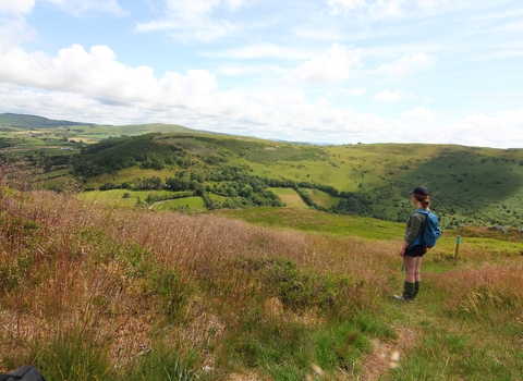 RWT-Wyloer-Gilfach by Silvia Cojocaru